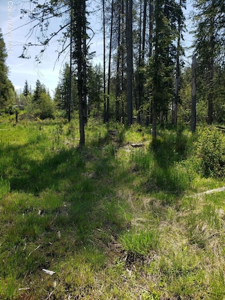313 Lot 4 Sunset St, Fernwood, ID 83830