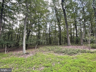 124 Spring Mountain Dr, North Union Township, PA 17985