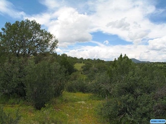 Tract C Xyz Ranch Rd, Silver City, NM 88061