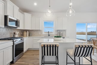 1593 Upper 141st St E, Rosemount, MN 55068