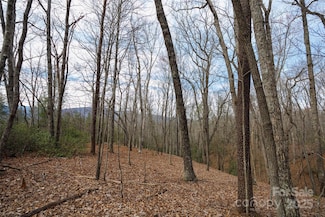 0 Lytle Mountain Rd, Old Fort, NC 28762