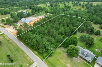 0 Clear Lake Rd Unit 4116497, Perkinston, MS 39573