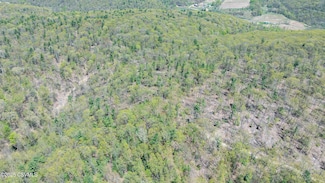 LOT 4 Patton Hill Rd, Greenwood Township, PA 17846