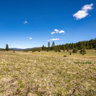Lot 26 To Be Determined Unit 26, McCall, ID 83638