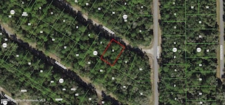 9218 N Rhine Way, Citrus Springs, FL 34434