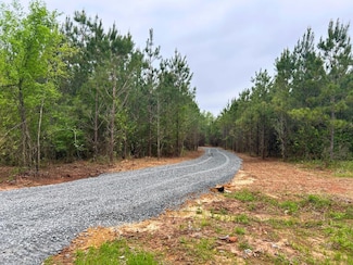 0 Boggy Rd, Waskom, TX 75692