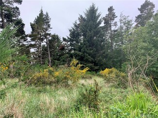 0 Baker St, Westport, WA 98595
