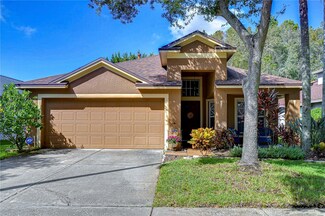 10222 Woodford Bridge St, Tampa, FL 33626