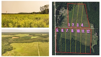 Suring Ln, Argonne, WI 54511