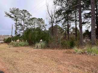 109 Persimmon Dr, Kathleen, GA 31047