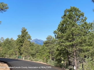 L5D Walter Hagen Dr, Alto, NM 88312