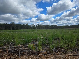 0 Porters Rd Unit 354351, Esmont, VA 22937