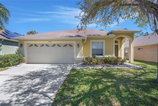 4042 Langdrum Dr, Wesley Chapel, FL 33543