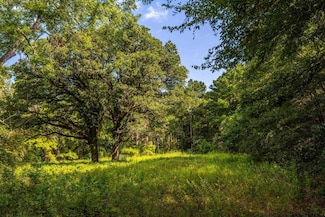 Tract 6 State Highway 155, Frankston, TX 75763