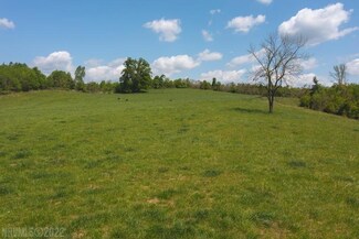 TBD Deer Run Rd Rd, Ferrum, VA 24088