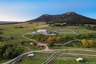 850 Fox Farm Rd, Larkspur, CO 80118