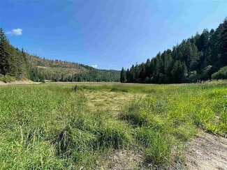 41XX N Deer Lake Rd, Loon Lake, WA 99148