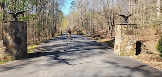 331 Chestnut Ridge Rd, Walland, TN 37886