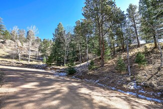 186 Alpine Dr, Cripple Creek, CO 80813