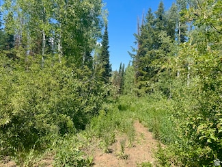 9146 N Uinta Dr Unit 509, Oakley, UT 84055