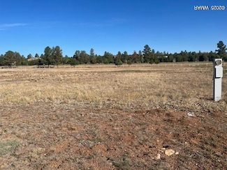2310 Quarter Horse Trail, Overgaard, AZ 85933