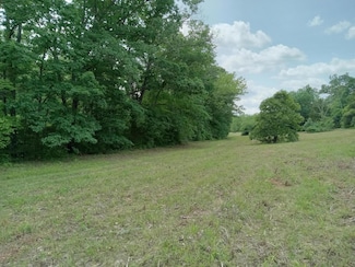 000 Box 110 Rr2, Mansfield, MO 65704