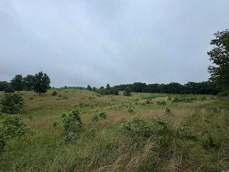 0 Honeytree Ln, Camp, AR 72520