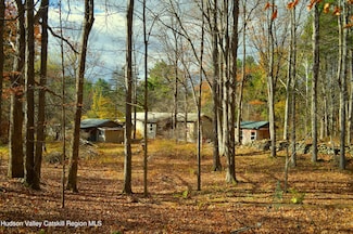 100 Meadow Ln, Cairo, NY 12413