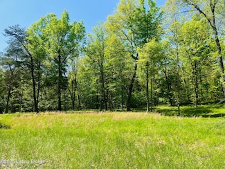 1179 Patriots Landing Ln, Falls of Rough, KY 40119