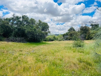 0 0 Flying O Ranch Rd, O'Neals, CA 93645