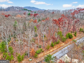 #185 N Shore Dr, Cleveland, GA 30528