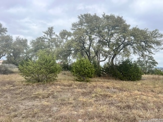 209 Starling Pass, Spring Branch, TX 78070