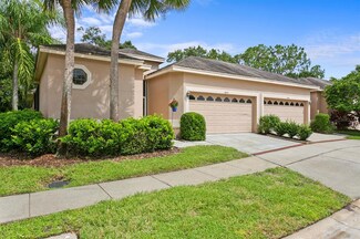 16147 Craigend Place, Odessa, FL 33556