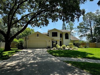 16501 Cranwood Place, Tampa, FL 33618