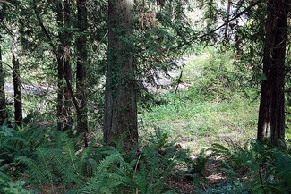 19231 Soundview Blvd NE, Suquamish, WA 98392