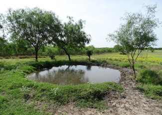 0 Fm 2294 Hwy Unit ACT5030560, San Isidro, TX 78588
