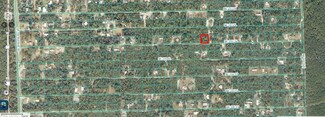 00 SE 236 Ln, Fort Mc Coy, FL 32134