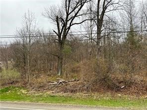 718 Route 356, Allegheny Township - Wml, PA 15613