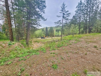 NKN 4th of July Creek Rd, North Fork, ID 83466