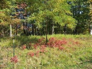 17664 Penny Ln, New Buffalo, MI 49117