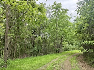 LOT 1 Nowhere Ln, Oakland Township, PA 16001