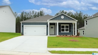 9981 Chelsea Park Trail, Chelsea, AL 35043