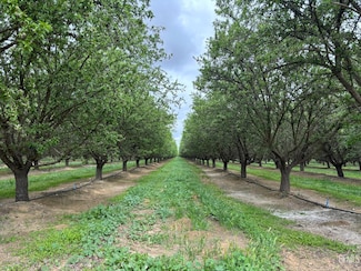 0 Snow Rd Unit 202504395, Bakersfield, CA 93314