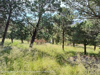 206 Guenevere Ave, Ruidoso, NM 88345