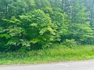 7326 State Route 19 Unit 10 Lot 46&47, Mount Gilead, OH 43338
