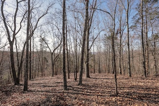 0 Brookstone Heights Ln, Dayton, TN 37321