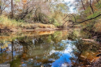 0 Morgan Mill Rd Unit 10642097, Senoia, GA 30276