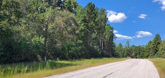 TBD Cougar Ct, Huntsville, TX 77340