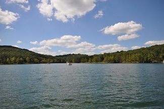 Lot 3 Highway Jj & Twin Island Dr, Blue Eye, MO 65611