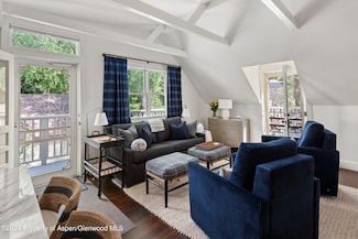 222 W Hopkins Ave Unit 5, Aspen, CO 81611